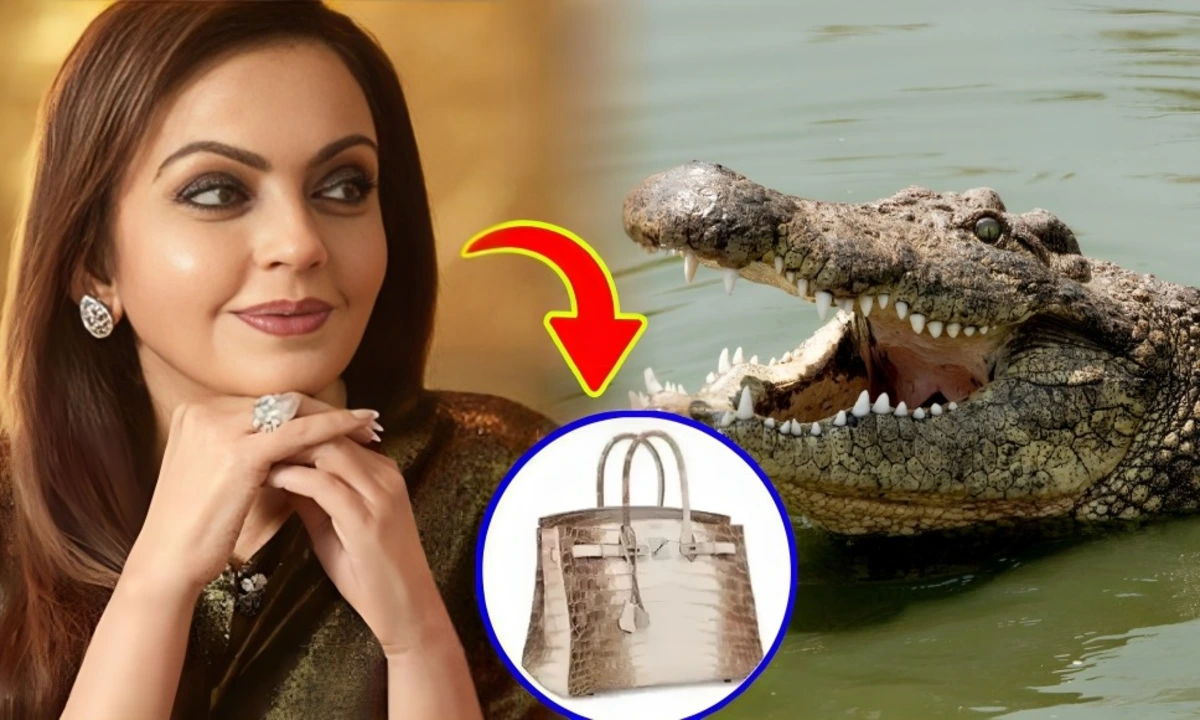 nita ambani crocodile skin bag