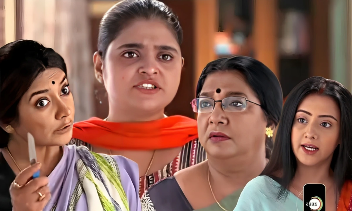 Shimul Insulted