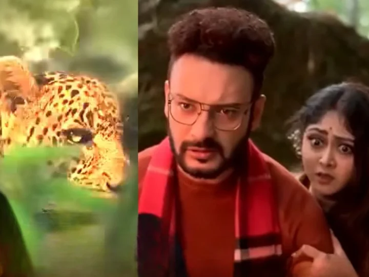 Tiger Kottha_cleanup