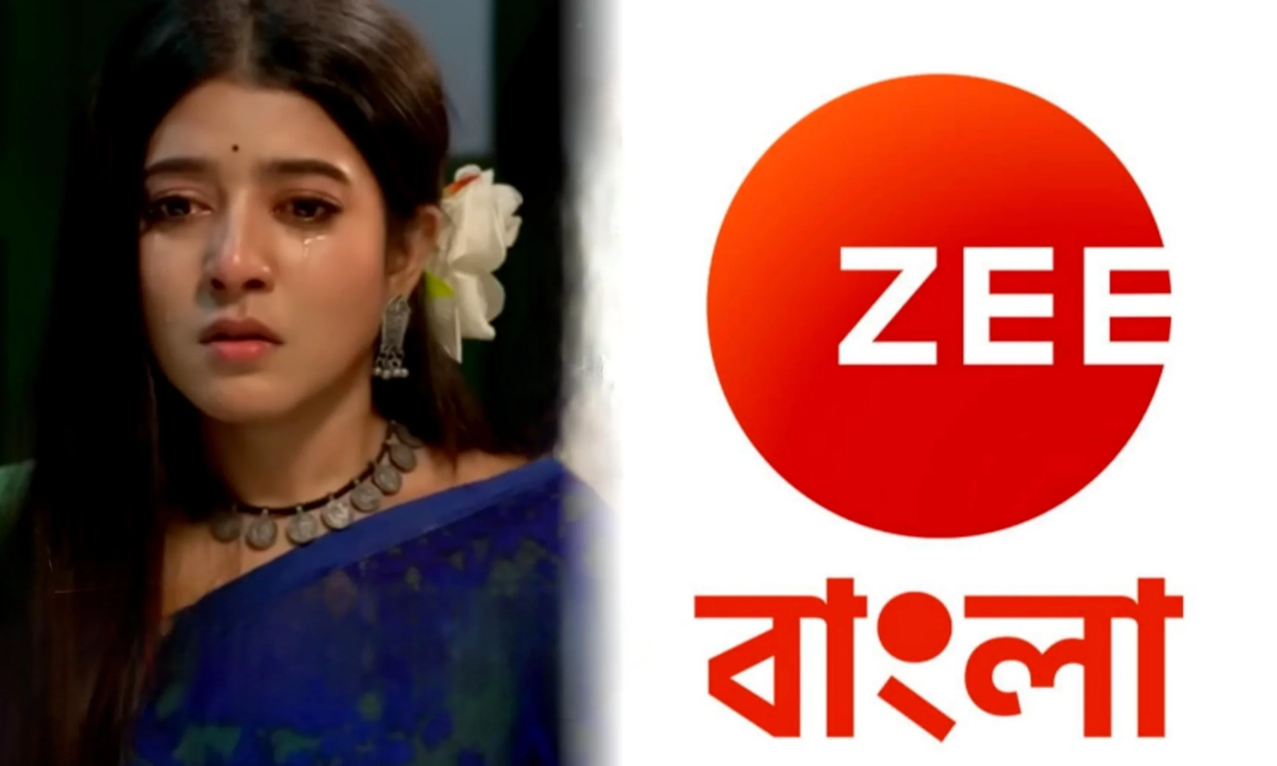 main actor left MithiJhora serial