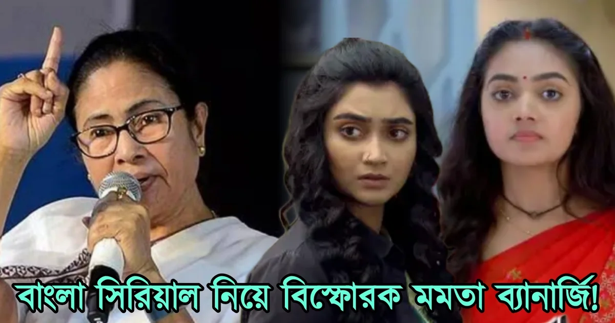 Mamata Banerjee, chief minister, Bengali serial, Bengali television, entertainment, bad effect, মমতা ব্যানার্জি, বাংলা সিরিয়াল, বাংলা টেলিভিশন, মুখ্যমন্ত্রী, বিনোদন, কুপ্রভাব
