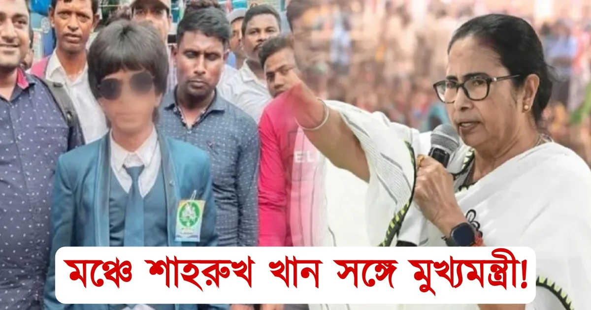 Mamta Banerjee, Shahrukh Khan, Bollywood, chief minister, মমতা ব্যানার্জি, শাহরুখ খান, বলিউড, মুখ্যমন্ত্রী