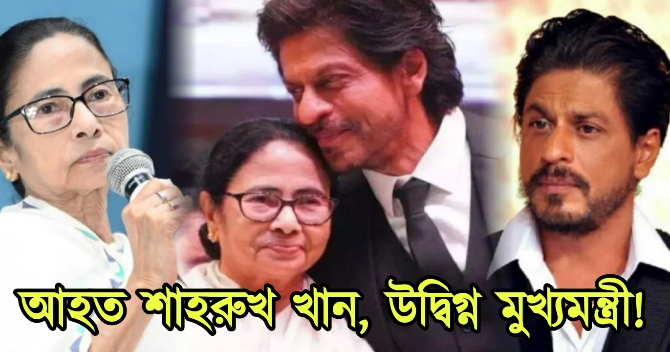 Mamta Banerjee, Shahrukh Khan, Bollywood, chief minister, মমতা ব্যানার্জি, শাহরুখ খান, বলিউড, মুখ্যমন্ত্রী